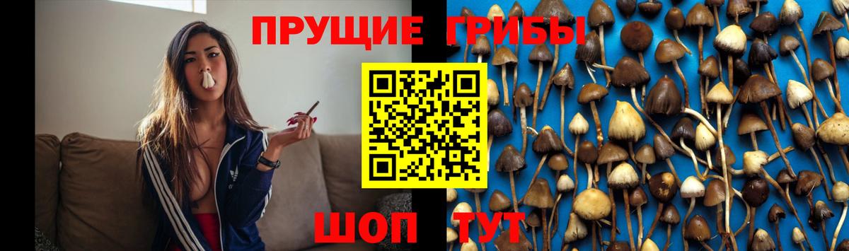 Псилоцибиновые грибы прущие грибы  Вход с VPN  Лянтор 