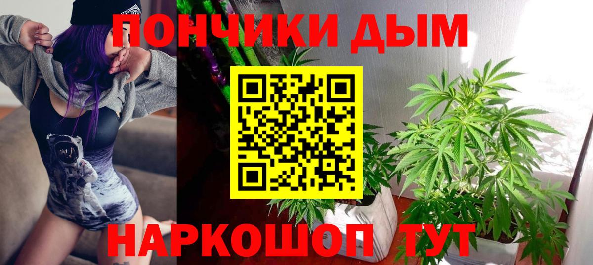 Бошки марихуана тримм  Вход с VPN  Бошки марихуана семена  Лянтор  Шишки марихуана Bruce Banner 
